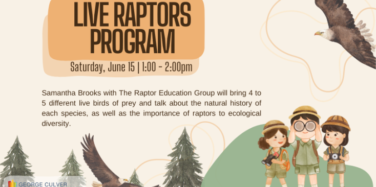 Cream background. Two images of flying eagles, one bottom middle, one top right. Pine trees in the bottom left. Three graphics of children with pith helmets and binoculars on the bottom right. Text in brown: Live Raptors Program Saturday, June 15 1:00-2:00pm Samantha Brooks with The Raptor Education Group will bring 4 to 5 different live birds of prey and talk about the natural history of each species, as well as the importance of raptors to ecological diversity. Samantha Brooks with The Raptor Education G